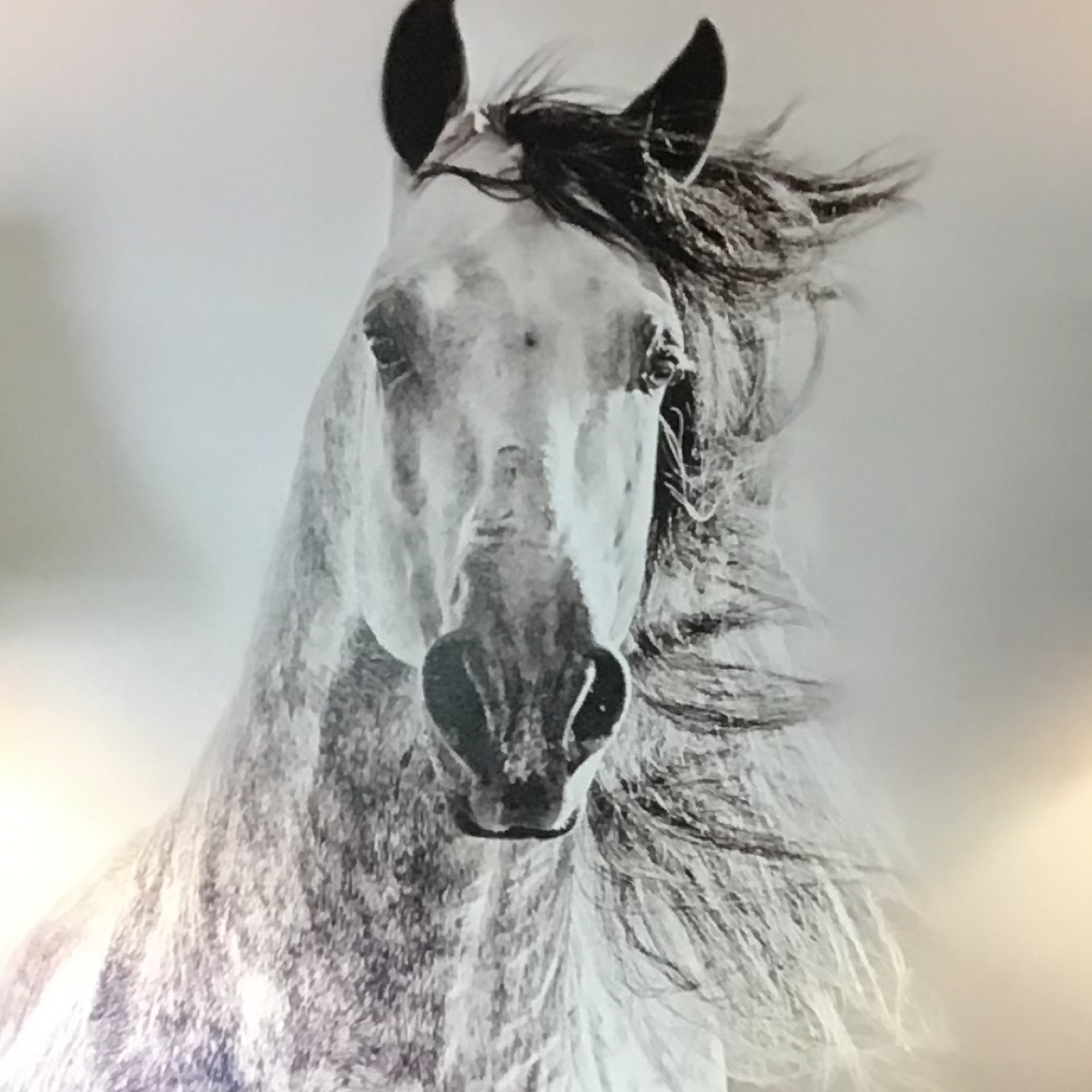 Mini John Wayne Horse Picture Agave Ranch